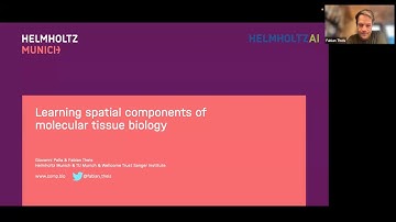 Learning spatial components of molecular tissue biology