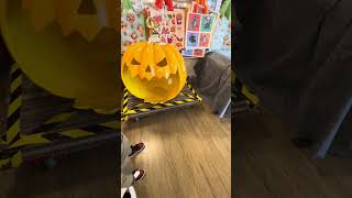 Would you but it for $1299