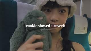 cookie - newjeans » slowed   reverb