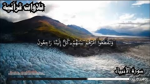 ما تيسر من سورة الأنبياء || الشيخ ناصر القطامي ||