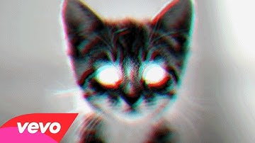 Catnip Trip 😻 Official Music Video