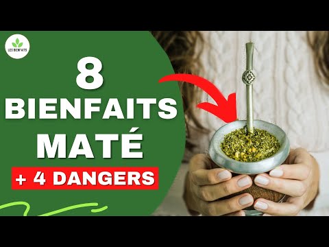 MATÉ : TOUT SAVOIR SUR LA YERBA MATÉ (BIENFAITS ET DANGERS POUR LA SANTÉ)