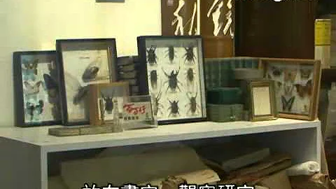 跟趙少昂觀蟬去 (24.11.2013) - 天天要聞