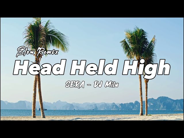 REMIX ADEM!!! DJ Milu - Head Held High - SERA - ( Slow Remix ) class=
