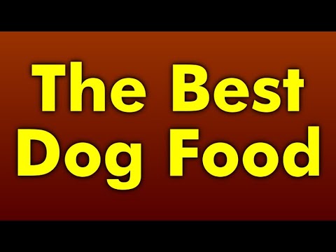 Healthy Food For Dogs - YouTube