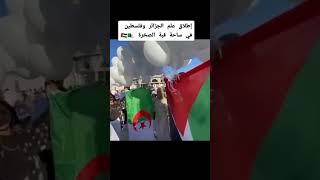 إطلاق علم الجزائر وفلسطين في ساحة قبة الصخرة 🇵🇸🇩🇿 #الجزائر🇩🇿 #فلسطين🇵🇸 #قبة_الصخرة_المشرفة