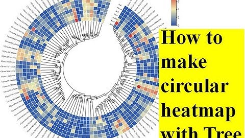 How to make circular heatmap / how to make newick tree / heat map with phylogenetic tree / TBTool