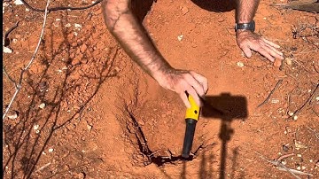 Gold Nuggets with the GPX 6000 Double D