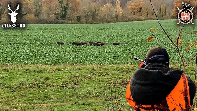 Didier Bourdon ressort sa carabine dans Chasse Gardée [bande