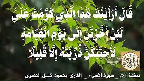 288 الصفحة   القرآن الكريم   سورة الإسراء   بصوت الحصري