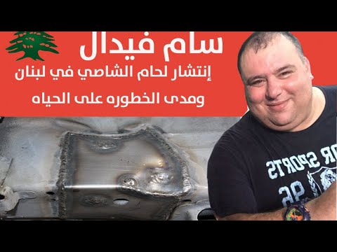 فيديو: الخبرة كنشاط