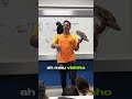 Seu GATO foge? Cuidado com o envenenamento! #adestramento