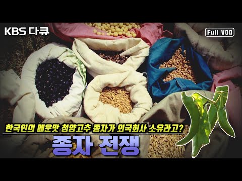 종자 확보가 중요한 이유 | 청양고추 종자가 외국회사 소유라고? | 품종개발과 종자주권을 둘러싼 종자 전쟁 | KBS 대기획 “힘내라 한국 종자산업” (KBS 081114 방송)