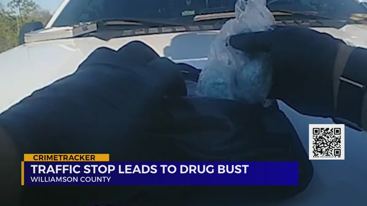 Traffic stop leads to drug bust in Williamson County - YouTube