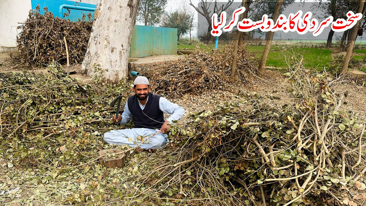 Организация костра для зимнего пребывания в тени.