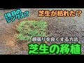 【芝生の張替え】芝生2年目でTM9が生えてこなくなったので、剥がしてストック芝を移植