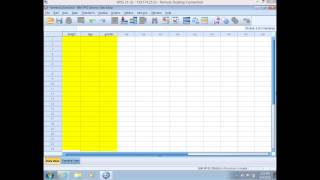 Intro SPSS screenshot 5