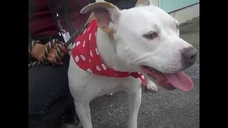 A4903456 Lucy