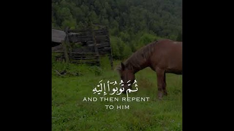 وَاسْتَغْفِرُوا رَبَّكُمْ ثُمَّ تُوبُوا إِلَيْهِ سورة هود القارئ ناصر القطامي