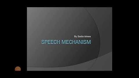Speech Mechanism