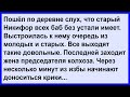 Про старого Никифора и жену председателя колхоза... Сборник! Клуб анекдотов!