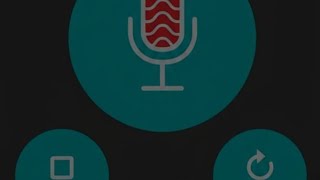 How to use echo on accessible with blind user fire #echo #microphones #original