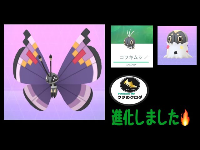 Pokemon Go Scatterbug Spewpa Vivillon Evolve Youtube Pokemon Go Scatterbug Spewpa Vivillon Evolve Youtube