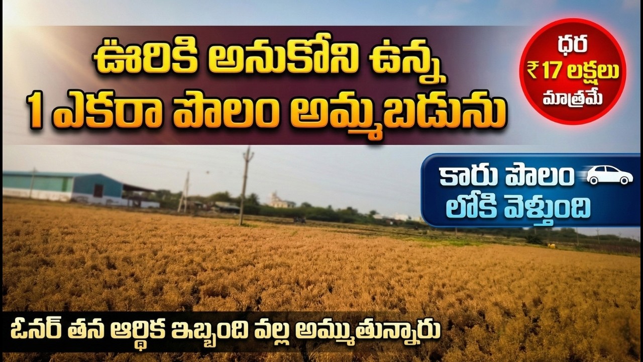ఊరికి అనుకోని ఉన్న 1 ఎకరా పొలం అమ్మబడును |EstateGuruAman