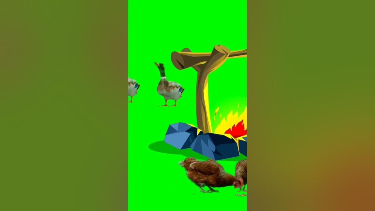 green-screen-animals-sound-green-youtube