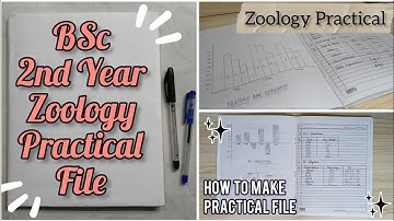BSc 2nd Year Zoology Practical File in English | Practical File 2023