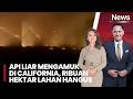 California Dilanda Kebakaran Hutan Hebat, Lebih Dari 1.052 Hektar Terbakar |iNews Pagi ( 17/6)
