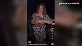 American influencer under fire for taking baby wombat from its mother