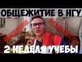 ГП. 2 КУРС. ОБЗОР ОБЩЕЖИТИЙ. БЫКОВ В НГУ!