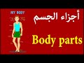 Body's parts أجزاء الجسم