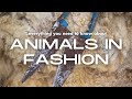 Animals in fashion everything you need to know in 12 minutes