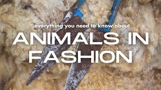 Animals in fashion: everything you need to know in 12 minutes