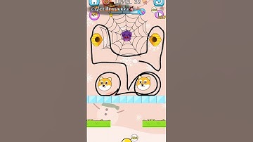 Doge Draw Escape Cats From Bee