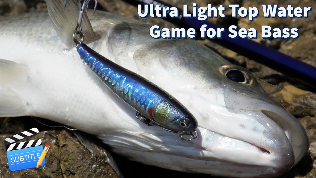 Rockbound Light Tackle Adventures #16: Ultra Light Top Water Game! 14 SEA  BASS & Bullet Mullet 55! 