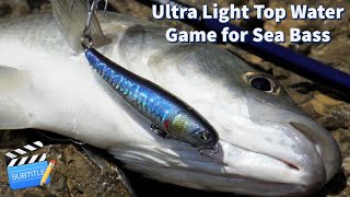 Ultra Light Top Water Game (LRF)! Fourteen SEA BASS with Bullet Mullet 55!