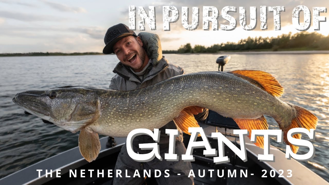 In Pursuit of Giants - Big Swimbait Fishing for Pike 