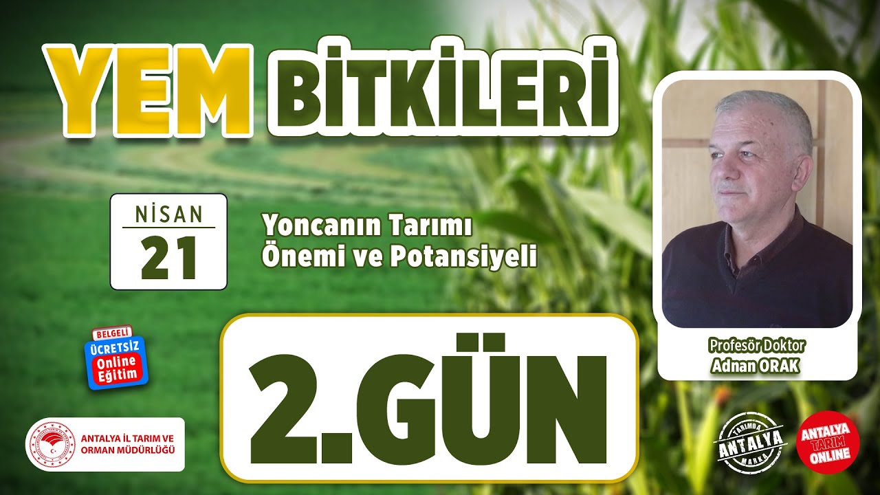 Yem Bitkileri - Yoncanın Tarımı Önemi ve Potansiyeli 2.Gün
