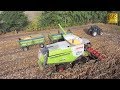 Körnermais ernten - Mähdrescher Lexion Claas 670 TERRA TRAC - combine harvester corn harvest 2018