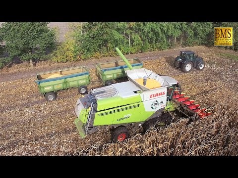 Körnermais ernten - Mähdrescher Lexion Claas 670 TERRA TRAC - combine harvester corn harvest 2018