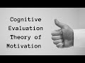 Cognitive Evaluation Theory of Motivation | Intrinsic vs Extrinsic Motivation