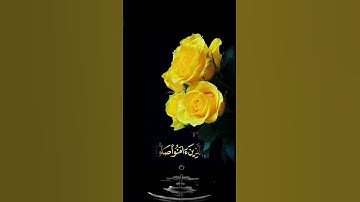 صباح الخير 💛 اجمل حالات واتس اب مقاطع قصيره💛 قران كريم ان الله وملائكته يصلون على النبي💛 بدون حقوق