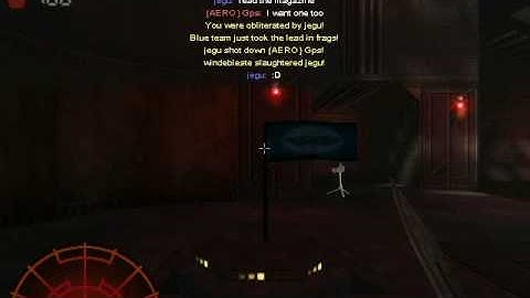 One flag CTF funny bug