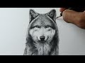 Como desenhar um lobo realista passo a passo narrado