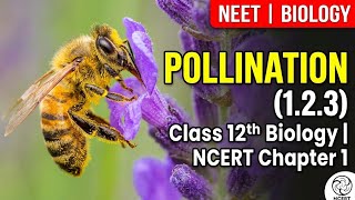 Sexual Reproduction in Flowering Plants (L-6) : Class 12th Biology Ncert Chapter 1 | NEET