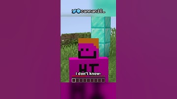 the best item i’ve ever found…