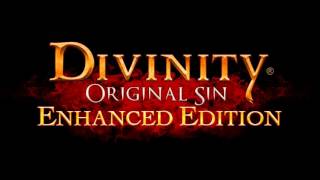 Divinity Original Sin Enhanced Edition - The Four Seasons Theme